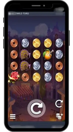 Технические характеристики игрового автомата Wild Toro