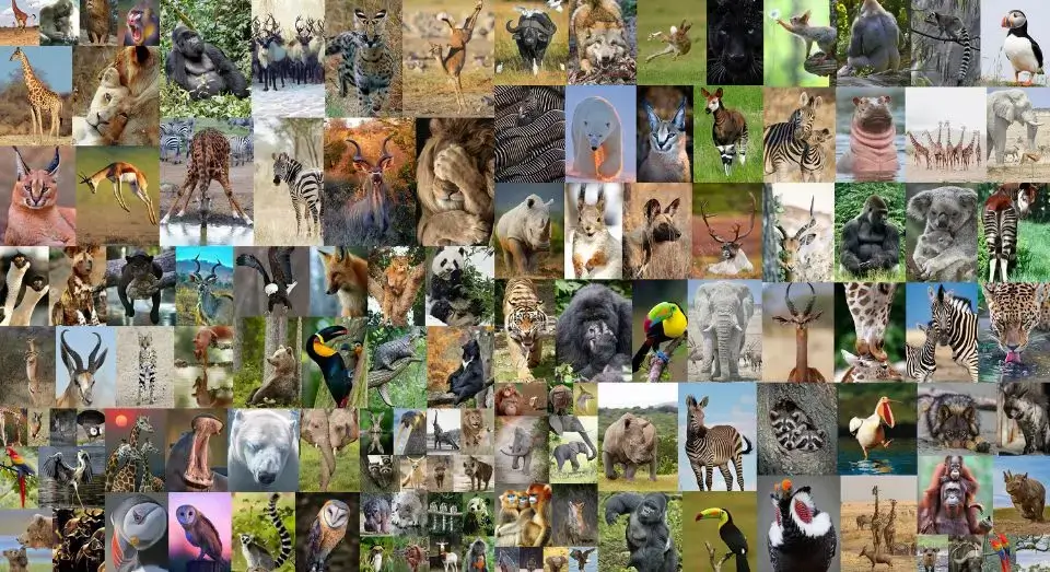 Слоты Животные